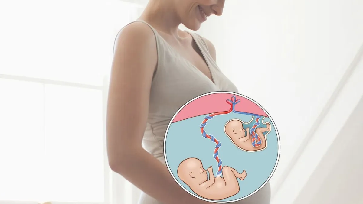 Can You Naturally Boost Your Chances of Having Twins? Gynecologist Explains