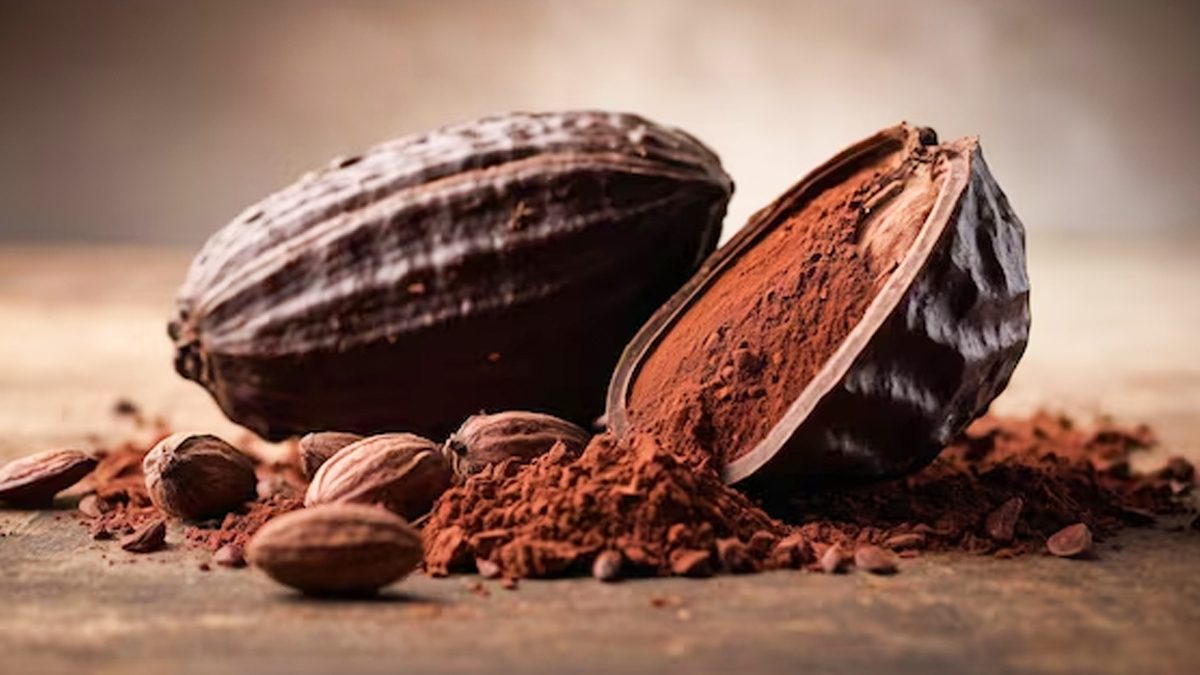 New Study Reveals Cocoa Can Keep Your Heart Healthy – Expert Decodes