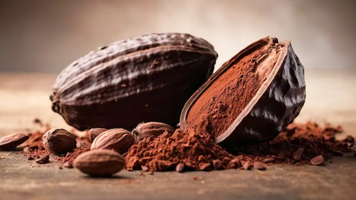 New Study Reveals Cocoa Can Keep Your Heart Healthy – Expert Decodes