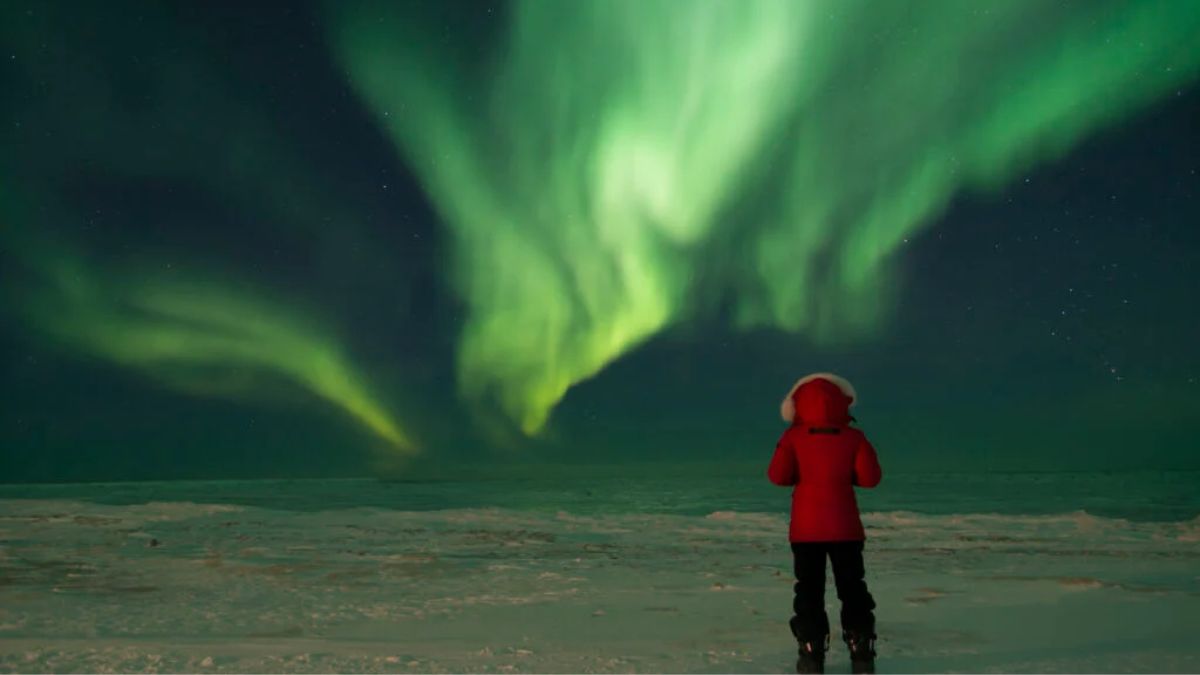 Do Northern Lights, aka Aurora Borealis, Affect Human Eyes? Expert Explains What You Need to Know