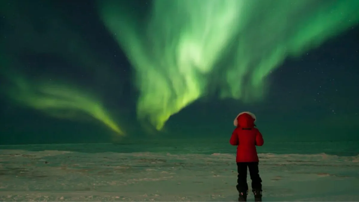 Do Northern Lights, aka Aurora Borealis, Affect Human Eyes? Expert Explains What You Need to Know