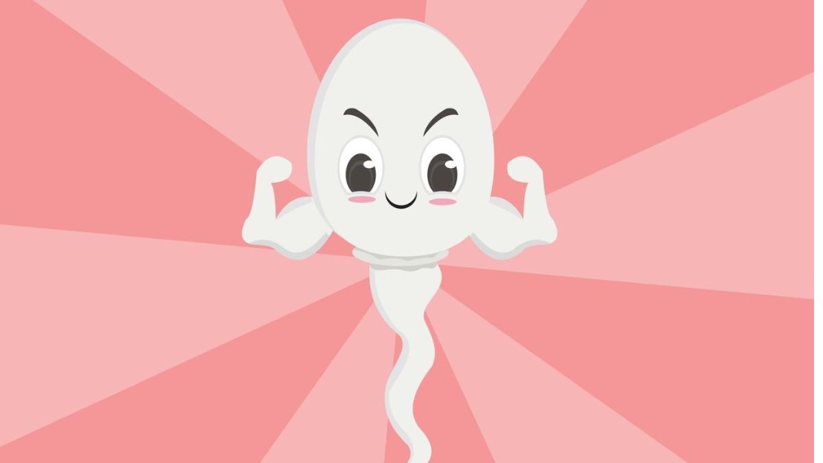 sperm health sperm health