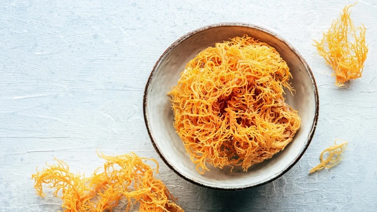Is The Sea Moss Wellness Trend Worth The Hype? Know Its Benefits And Side Effects