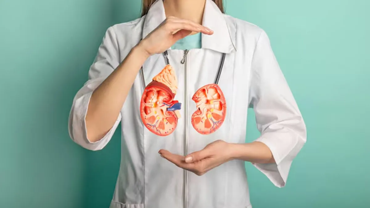 Scientists Have Found A Way To Reverse Kidney Damage – Expert Decodes What It Means