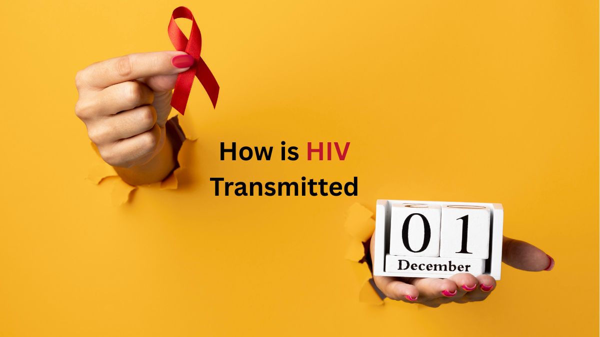 The Truth About HIV Transmission- What You Can and Can’t Catch It From