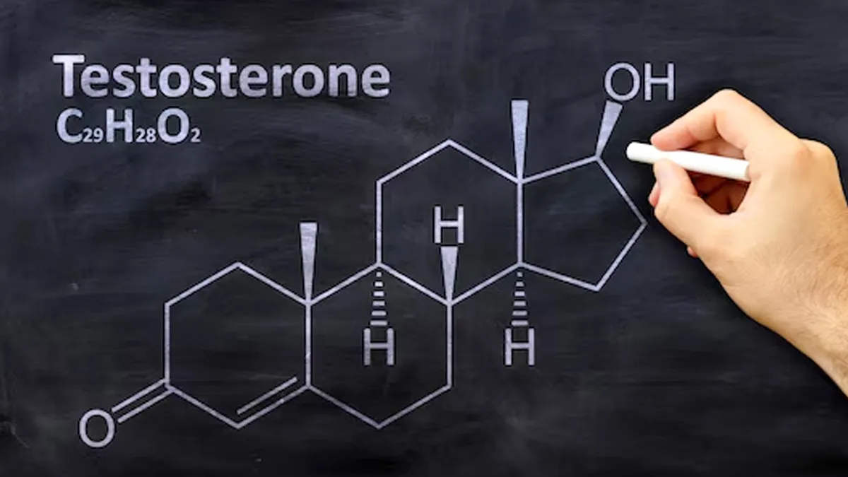 Does Cold Weather Improve Testosterone? Facts & Myths