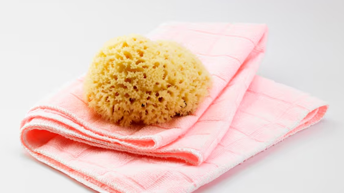 bath sponge inside 1