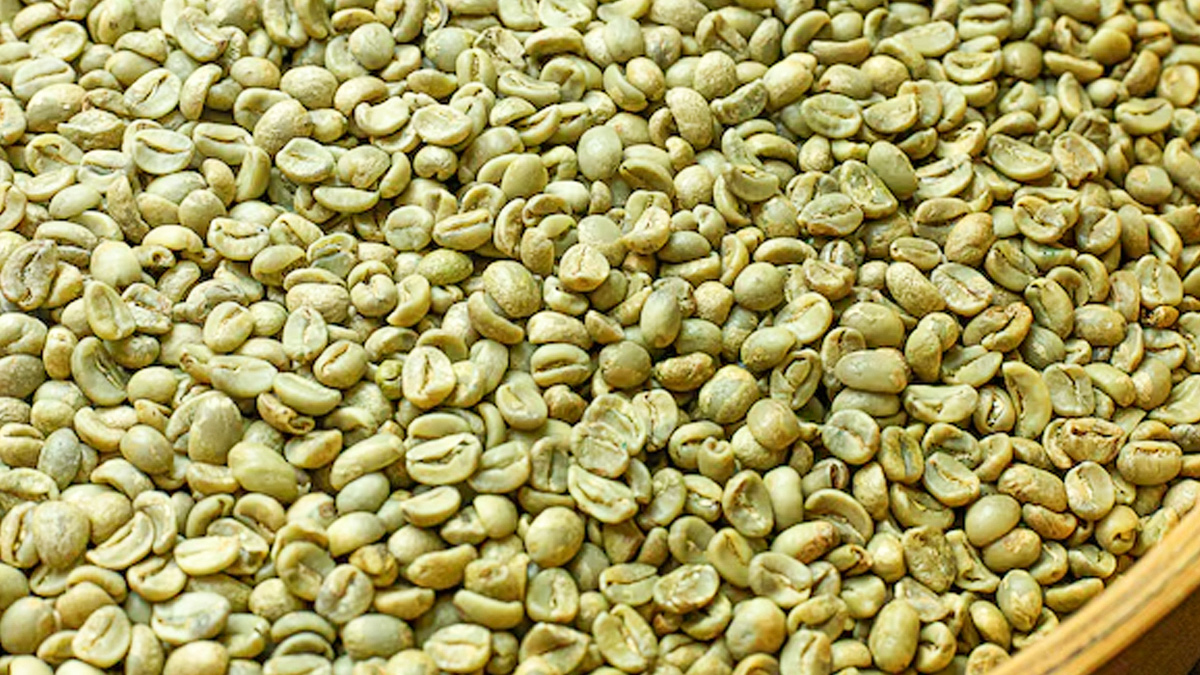 Green Coffee Beans