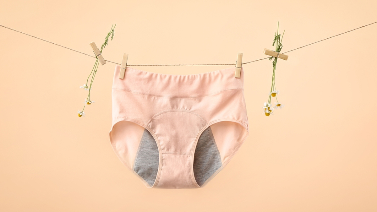Period Panty
