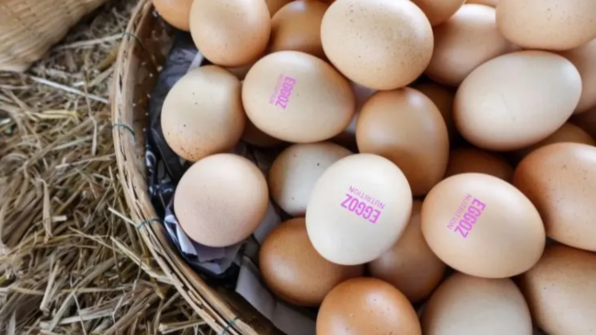 Eggoz Cancer Controversy Explained: Should You Really Worry and What Type of Eggs You Should Eat Now