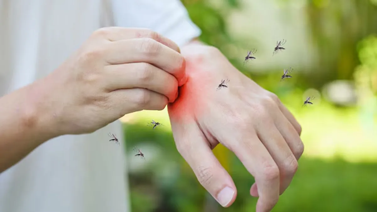 An Untreatable Mosquito Disease Is Surging Across 4 Countries, CDC Issues New Warning