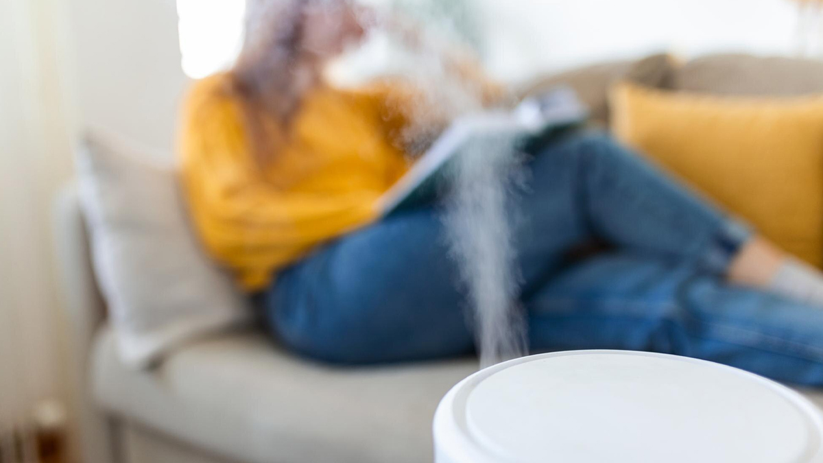 buy purifier inside 1