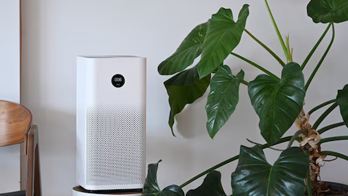 buy purifier inside 2