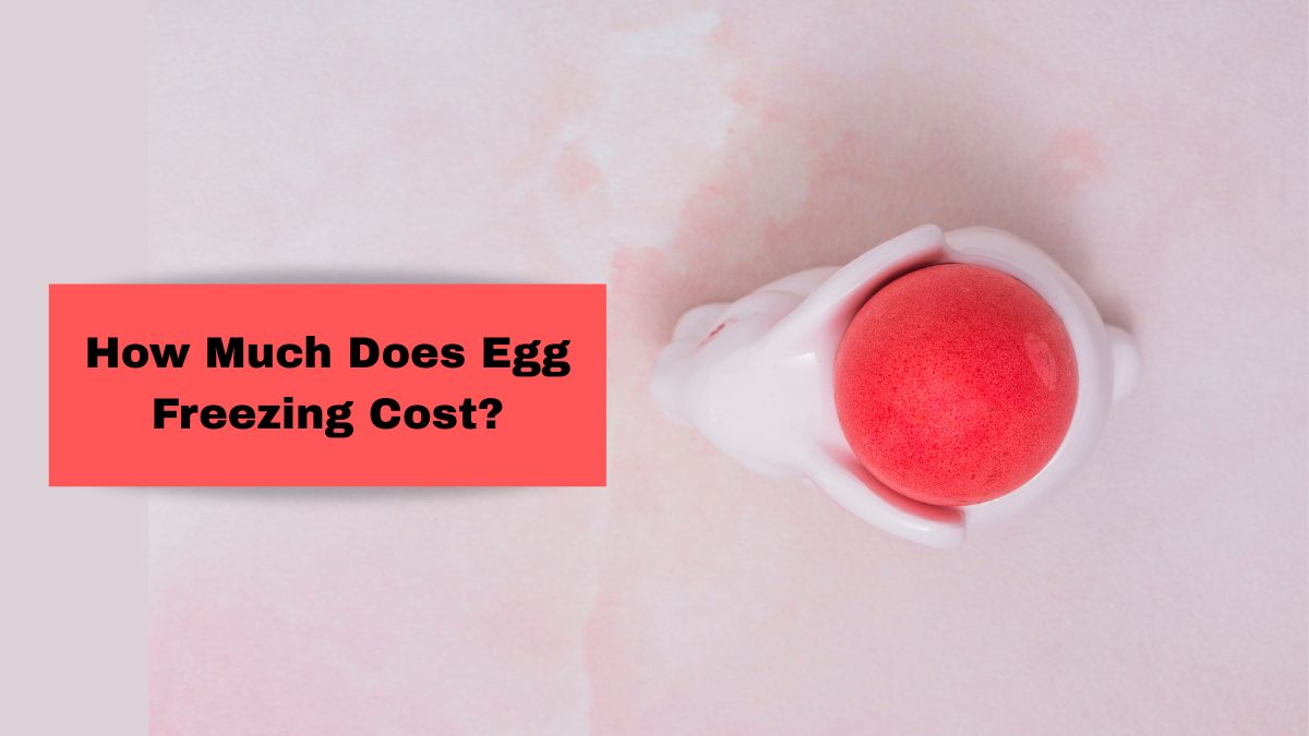 Egg Freezing Procedure 101: From Tentative Cost to Potential Risks, Top Fertility Expert Explains Everything