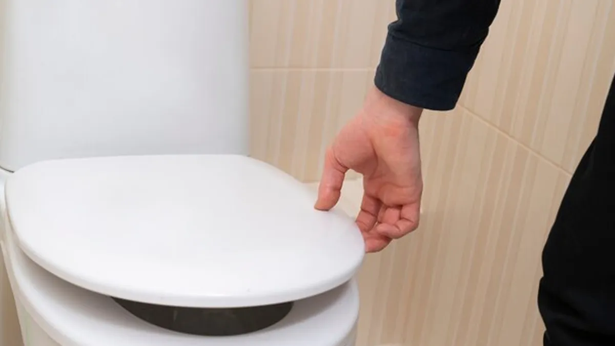 Why You Should Flush With The Toilet Seat Down – Experts Reveal