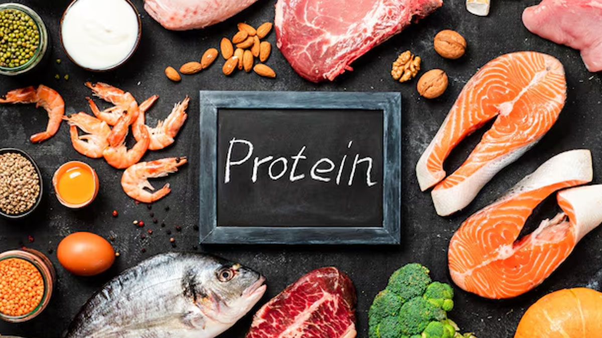 protein fat inside 1