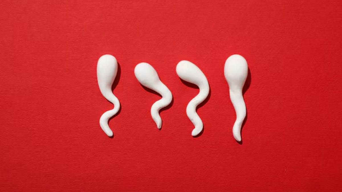 Is Your Sperm Healthy? Doctor Explains | OnlyMyHealth