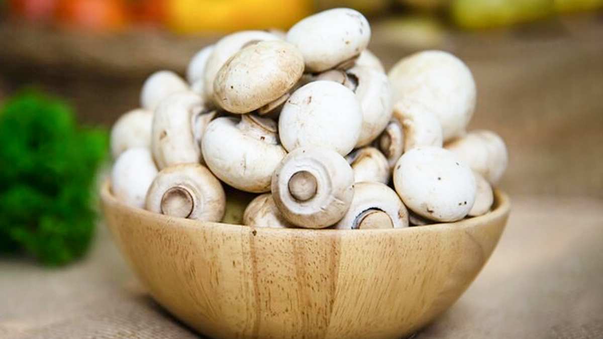 Are Mushrooms Vegetarian Or Non-Vegetarian? Expert Explains