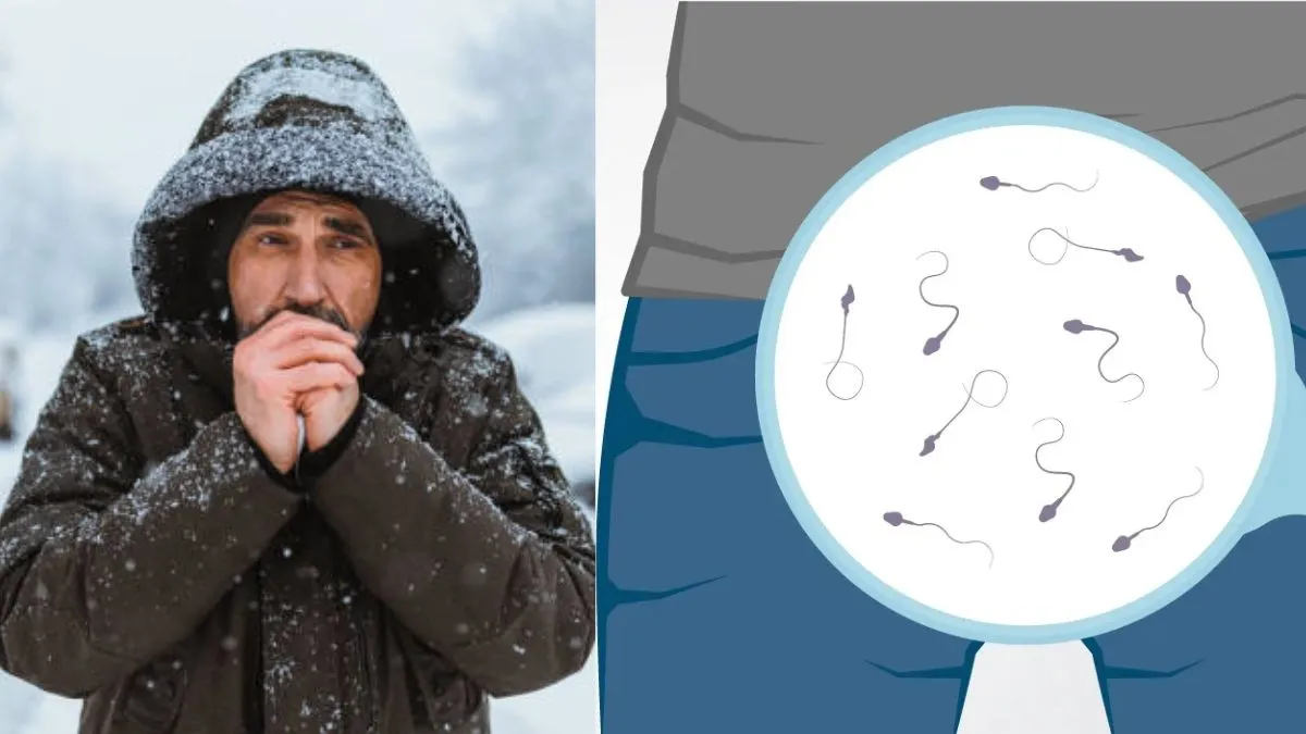 Does Sperm Quality Improve in Cooler Months, and Does it Really Matter