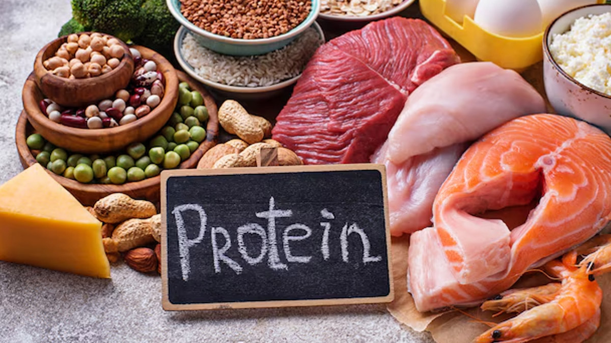 protein myth 3