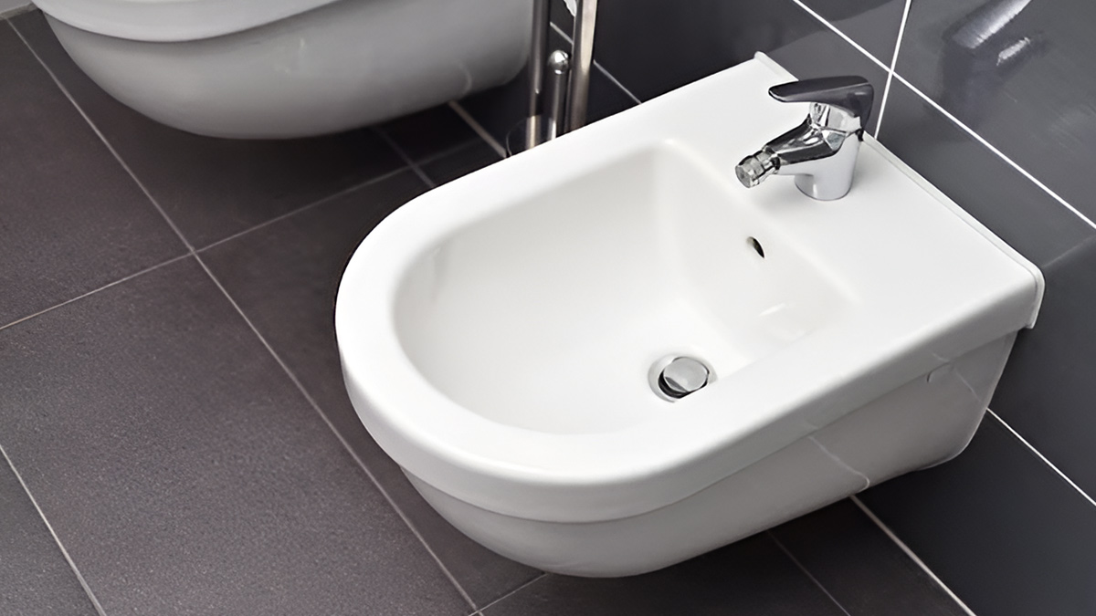 bidet vagina 2
