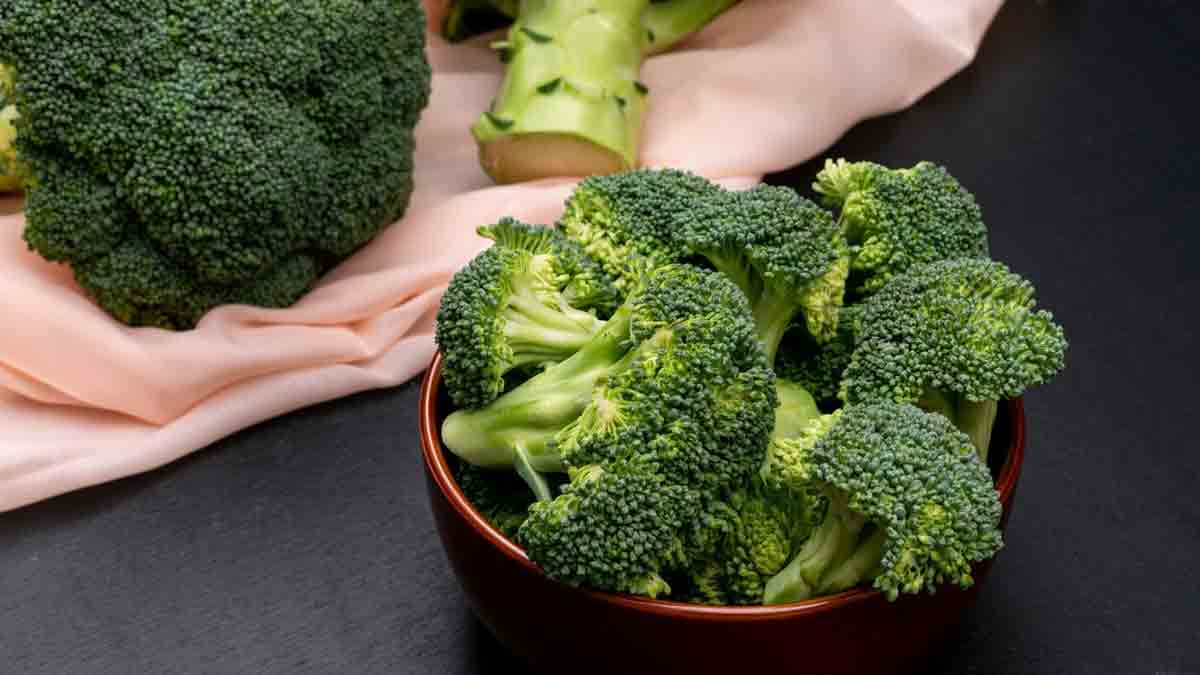 veg protein 2