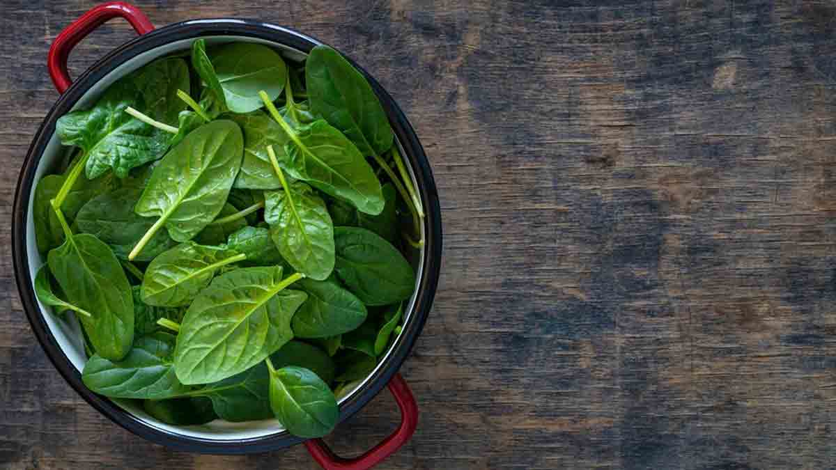 veg protein 3