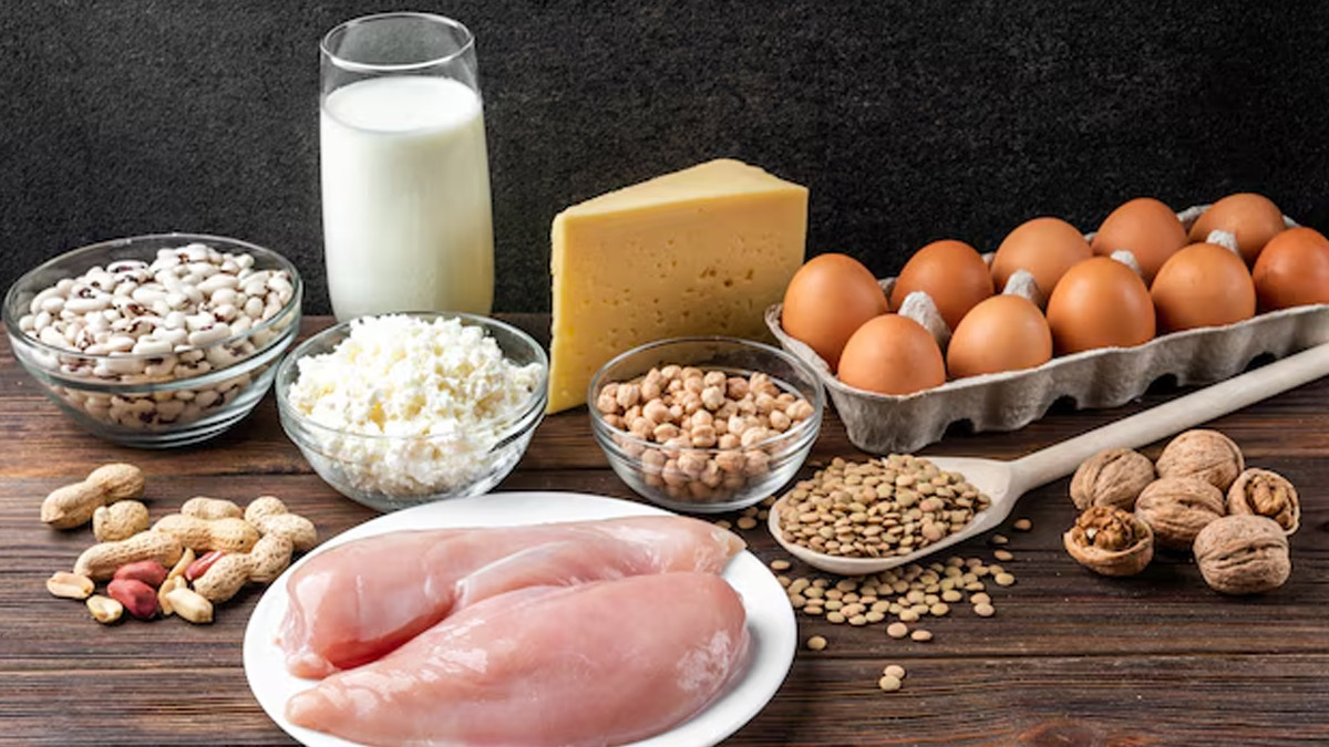 protein fibre 1