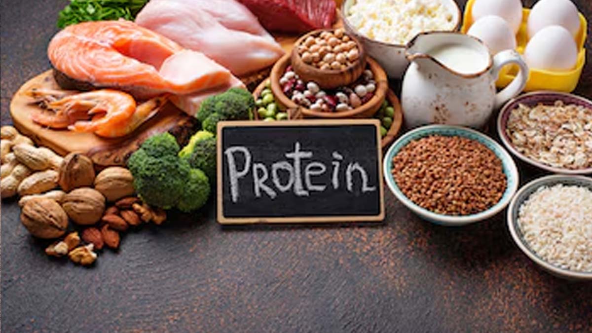 protein fibre 2