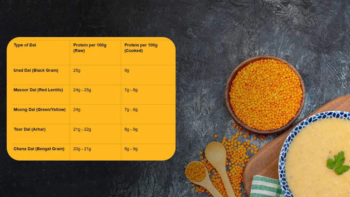 dal protein 1