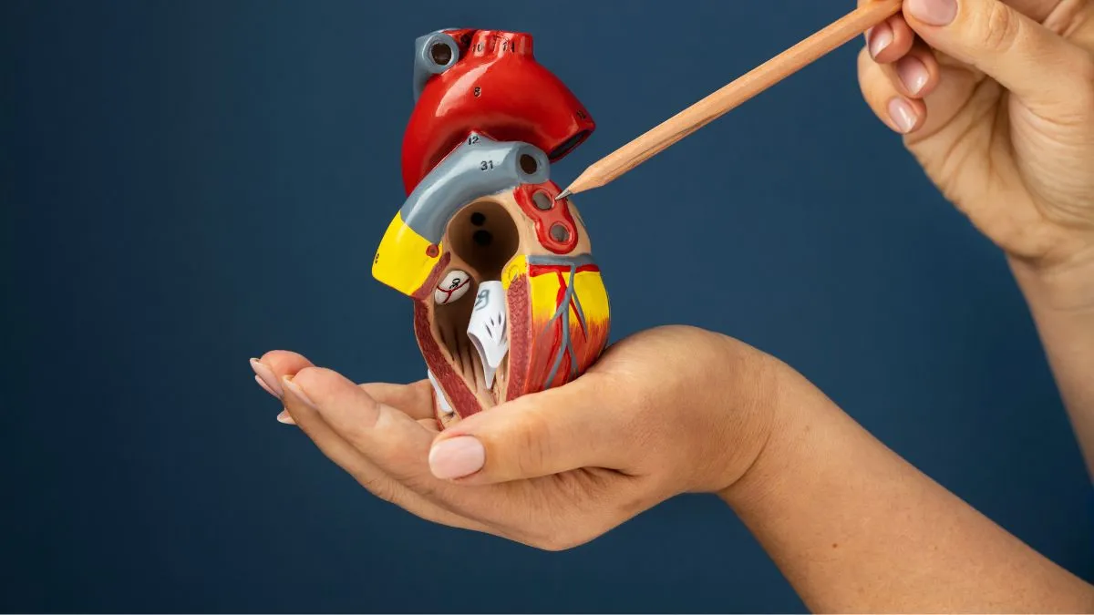 Does Every Heart Patient Need a Pacemaker? Know From a Cardiologist