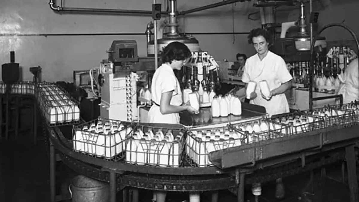 The History of Pasteurisation: How Boiling Milk Saved Millions from Deadly Food Poisoning