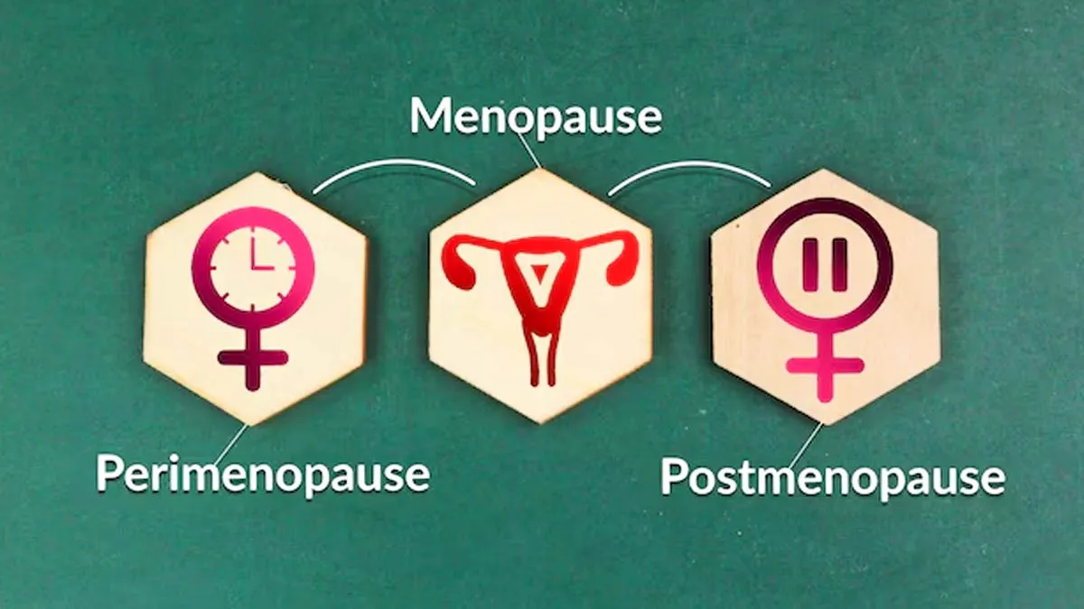 perimenopause age 1