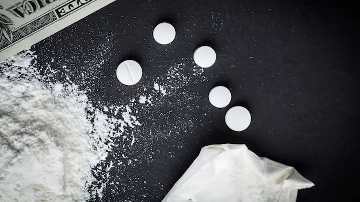 cocaine history 2