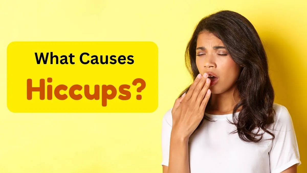 Why Do We Hiccup? The Science Behind That Sudden ‘Hic’
