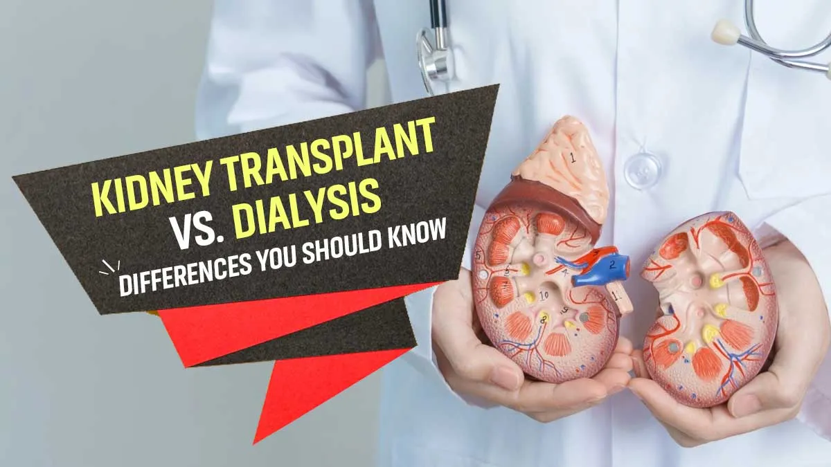Kidney Transplant vs Dialysis: Which Is Right for You? Experts Explain