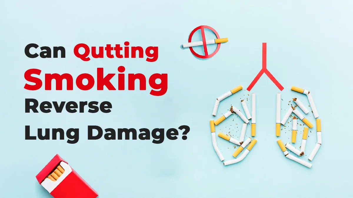 World Lung Day 2026: Can Your Lungs Fully Recover After Years of Smoking?