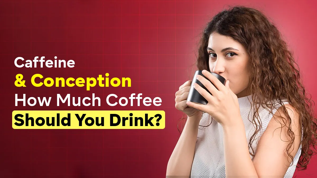 How Much Caffeine Is Too Much When You Are Trying To Conceive? Detailed Guide by an Expert