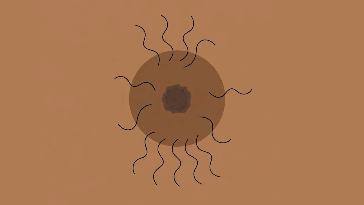 01 (4)