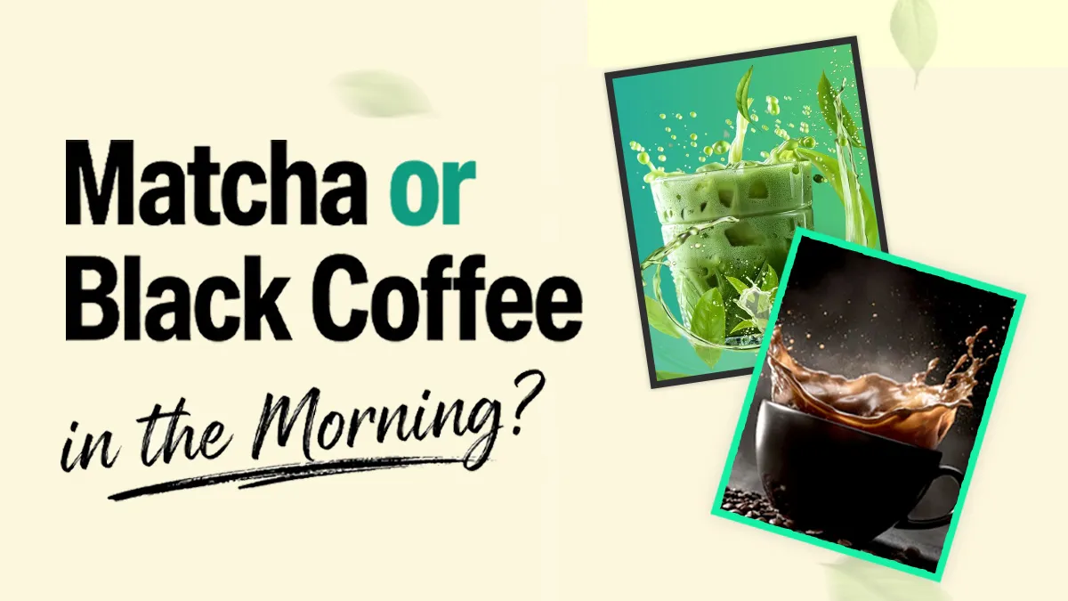 Matcha vs Black Coffee: Which Is Best for a Morning Drink?