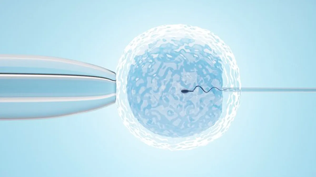 late ivf injection
