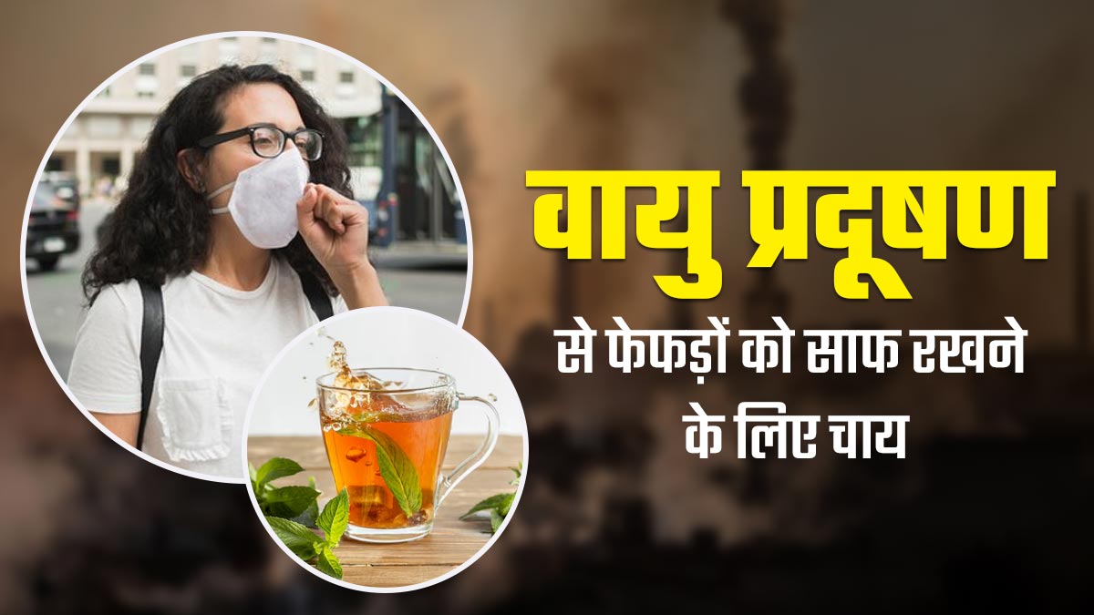 बढ़ते वायु प्रदूषण में फेफड़ों को हेल्दी रखने के लिए जरूर पिएं ये खास हर्बल टी, बीमारियों से होगा बचाव