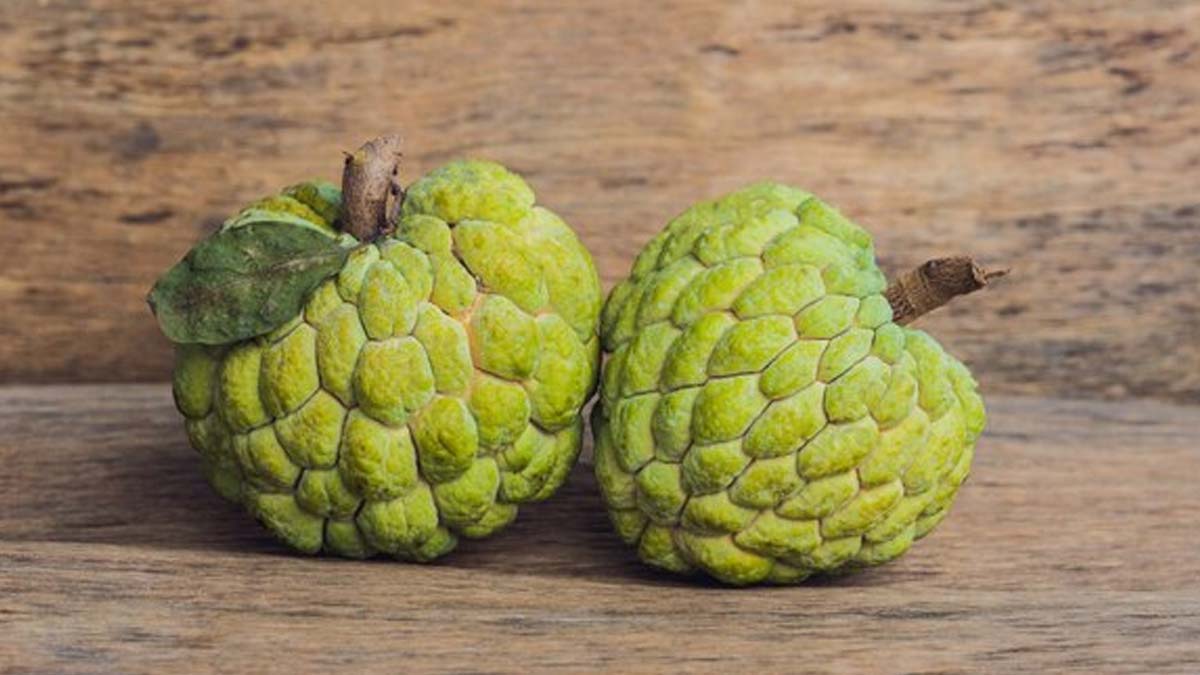 benefits of custard apple