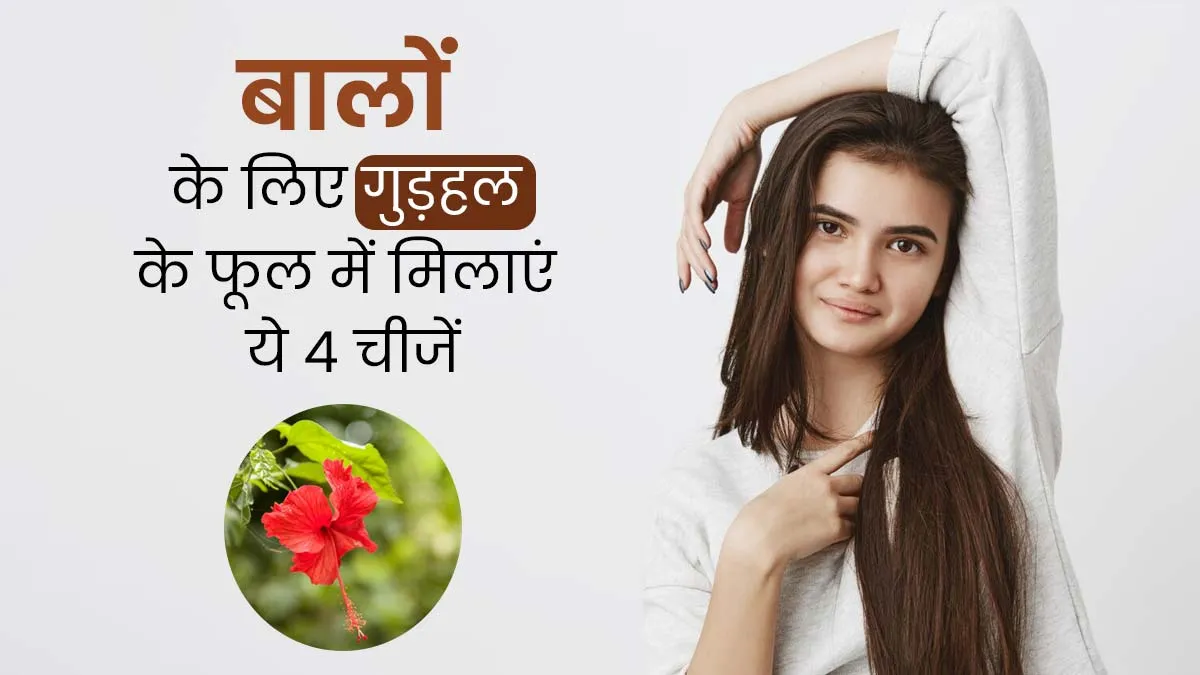 बालों का झड़ना और टूटना कम करने के लिए गुड़हल के फूल में मिलाएं ये 4 चीजें, पाएं बेहतरीन रिजल्ट