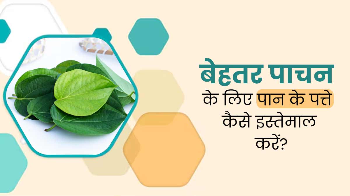 पाचन बेहतर बनाने में मदद करते हैं पान के पत्ते, जानें सेवन के 5 तरीके