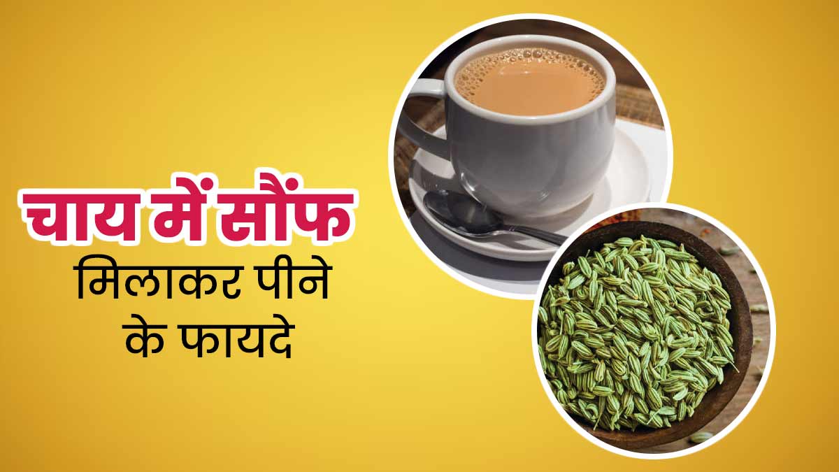 दूध वाली चाय में जरूर मिलाएं सौंफ, सेहत को मिलेंगे ये 4 जबरदस्त फायदे