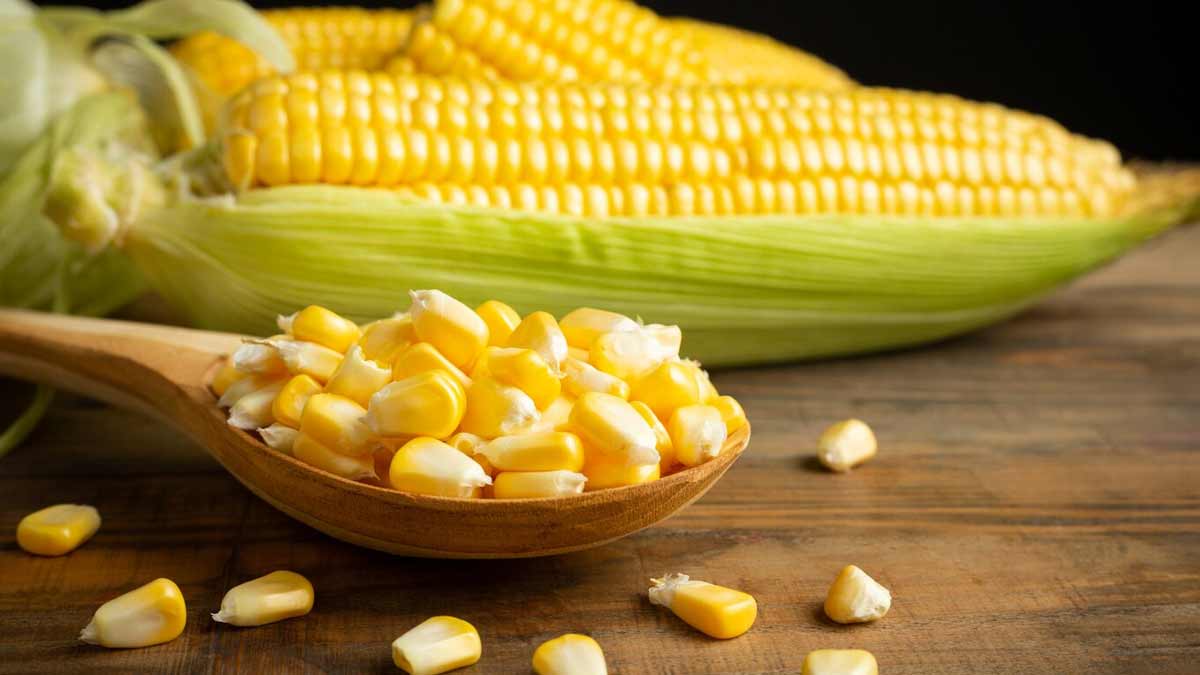 Corn-causes-gas-inside