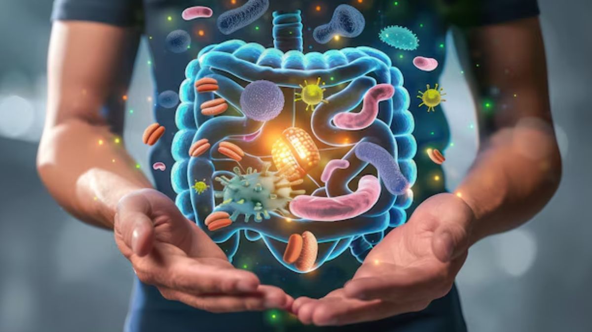 Things-that-are-killing-ur-gut health-inside33