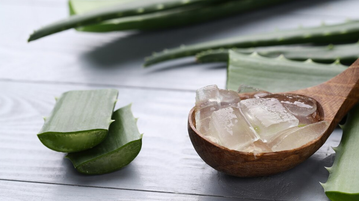 aloevera-for-acne-inside