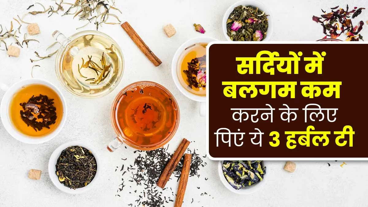 सर्दियों में बलगम कम करने और इम्यूनिटी बढ़ाने के लिए पिएं ये 3 हर्बल टी, जानें रेसिपी और फायदे